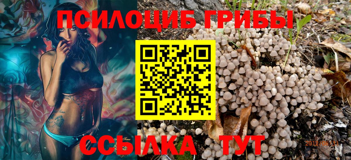 Псилоцибиновые грибы прущие грибы Сыктывкар